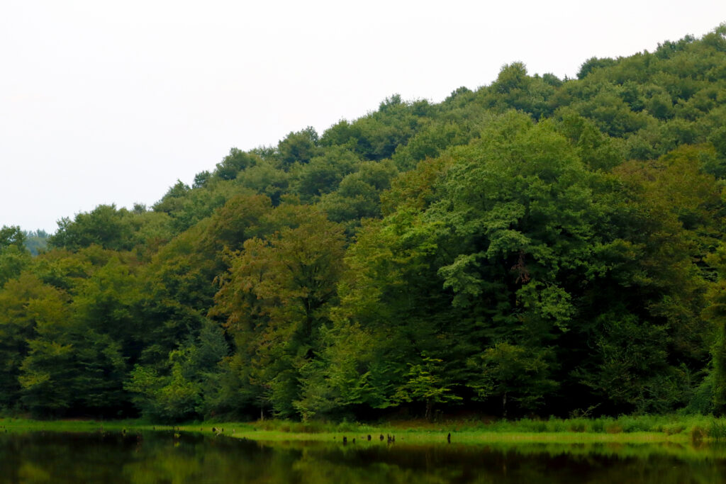 تجربه عکاسی و ادیت پس از چند سال %d8%ba%db%8c%d8%b1%d9%87 تجربه عکاسی و ادیت پس از چند سال