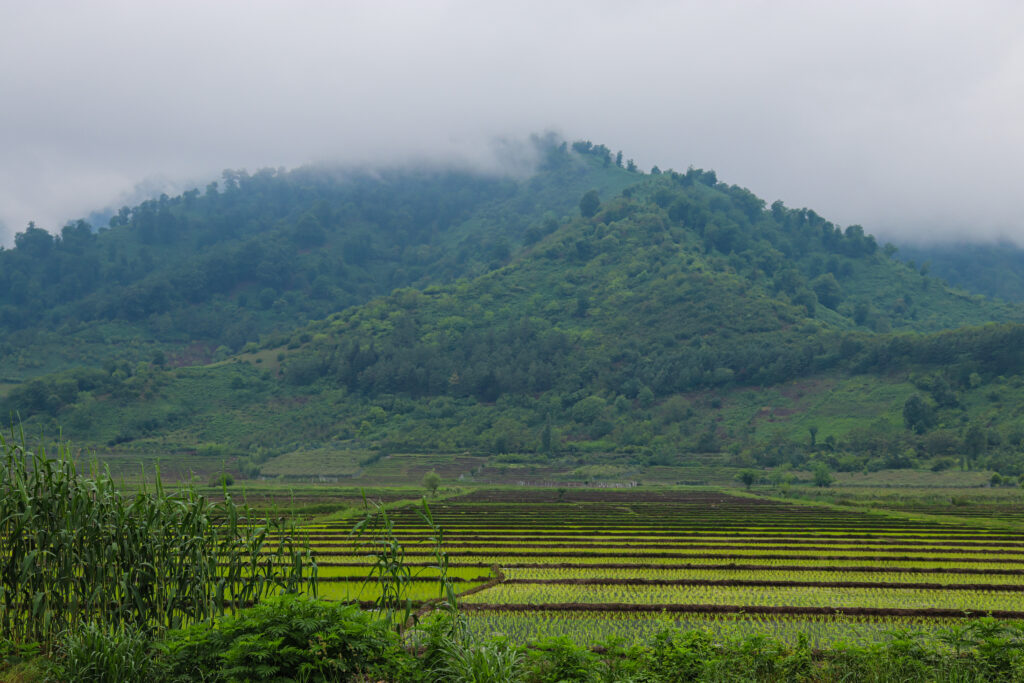 تجربه عکاسی و ادیت پس از چند سال %d8%ba%db%8c%d8%b1%d9%87 تجربه عکاسی و ادیت پس از چند سال