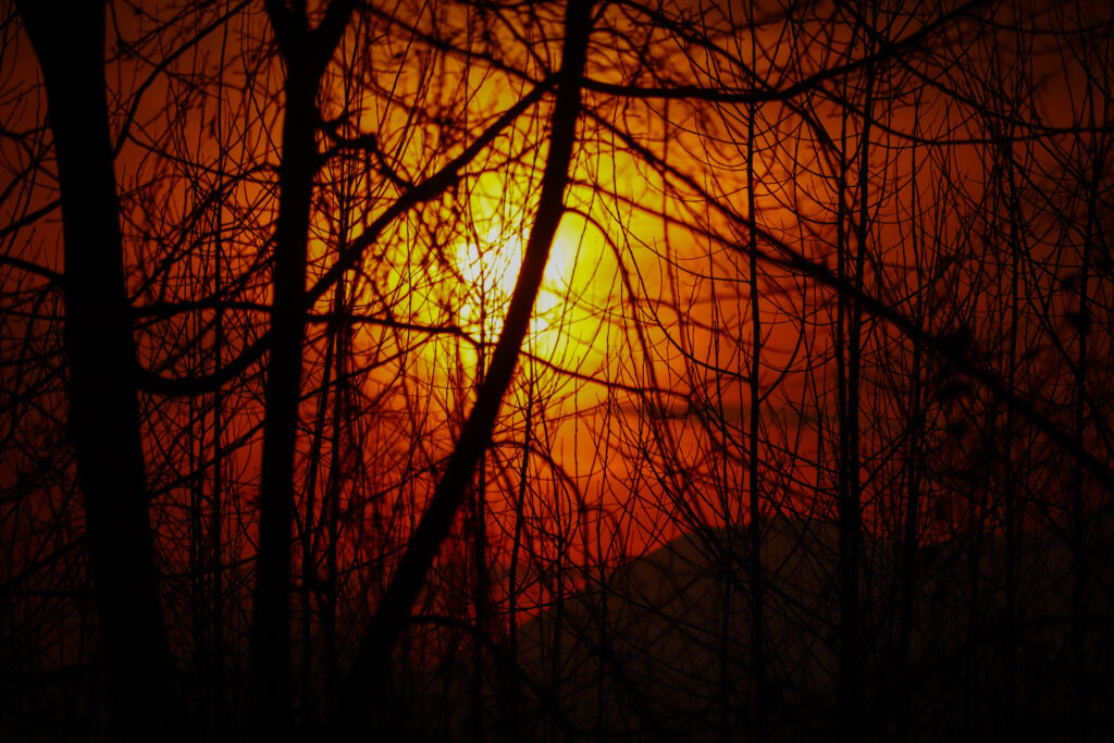 تجربه عکاسی و ادیت پس از چند سال %d8%ba%db%8c%d8%b1%d9%87 تجربه عکاسی و ادیت پس از چند سال تضاد نور غروب خورشید و شاخه درختان